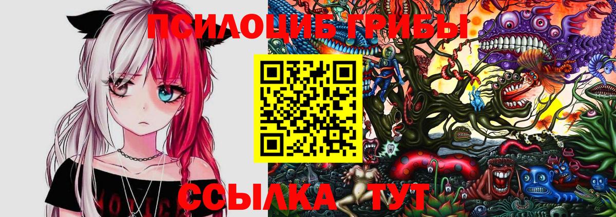 Псилоцибиновые грибы Psilocybe  Галлюциногенные грибы Magic Shrooms  продажа наркотиков  Вход с VPN  Джанкой 